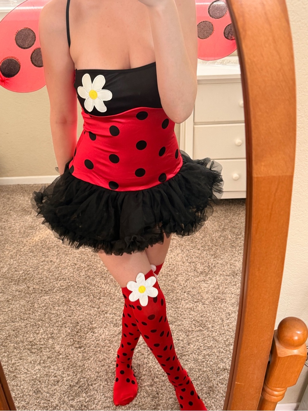 Lucky lady bug costume size XS